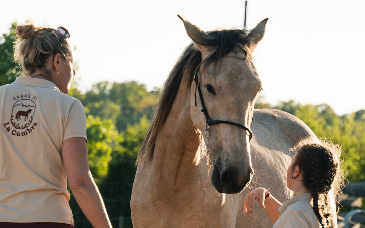 Filly PRE Pure Spanish Bred For sale 2023 Buckskin