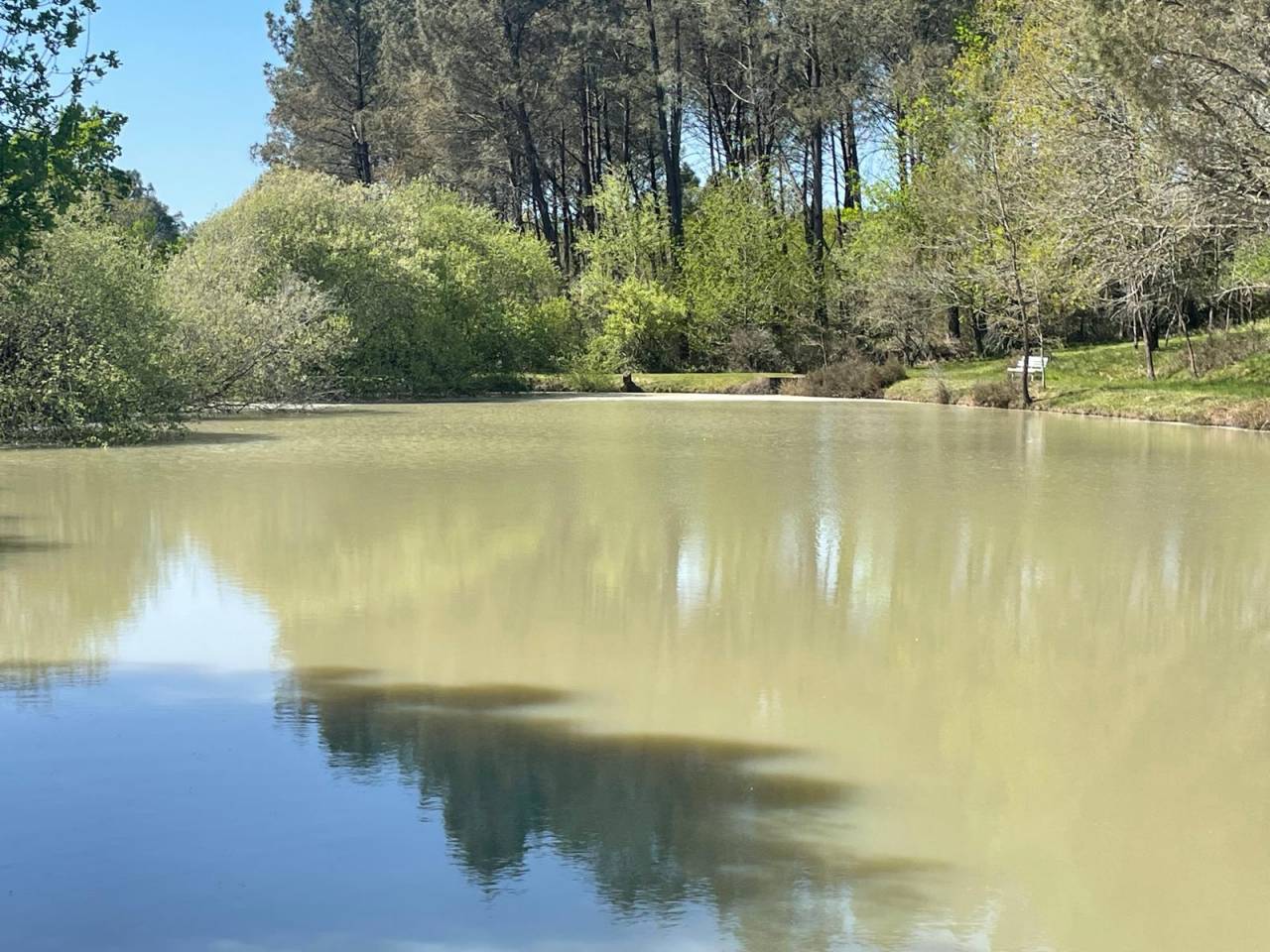 Holiday equestrian property  Dordogne