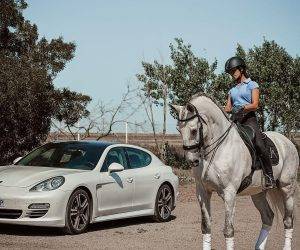 Gelding Lusitano For sale 2013 Grey