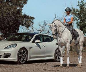 Gelding Lusitano For sale 2013 Grey