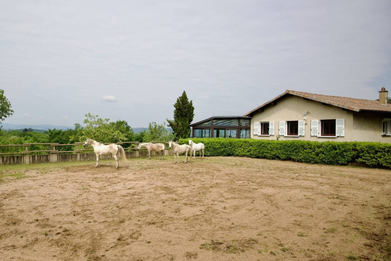 Equestrian property  Rhône