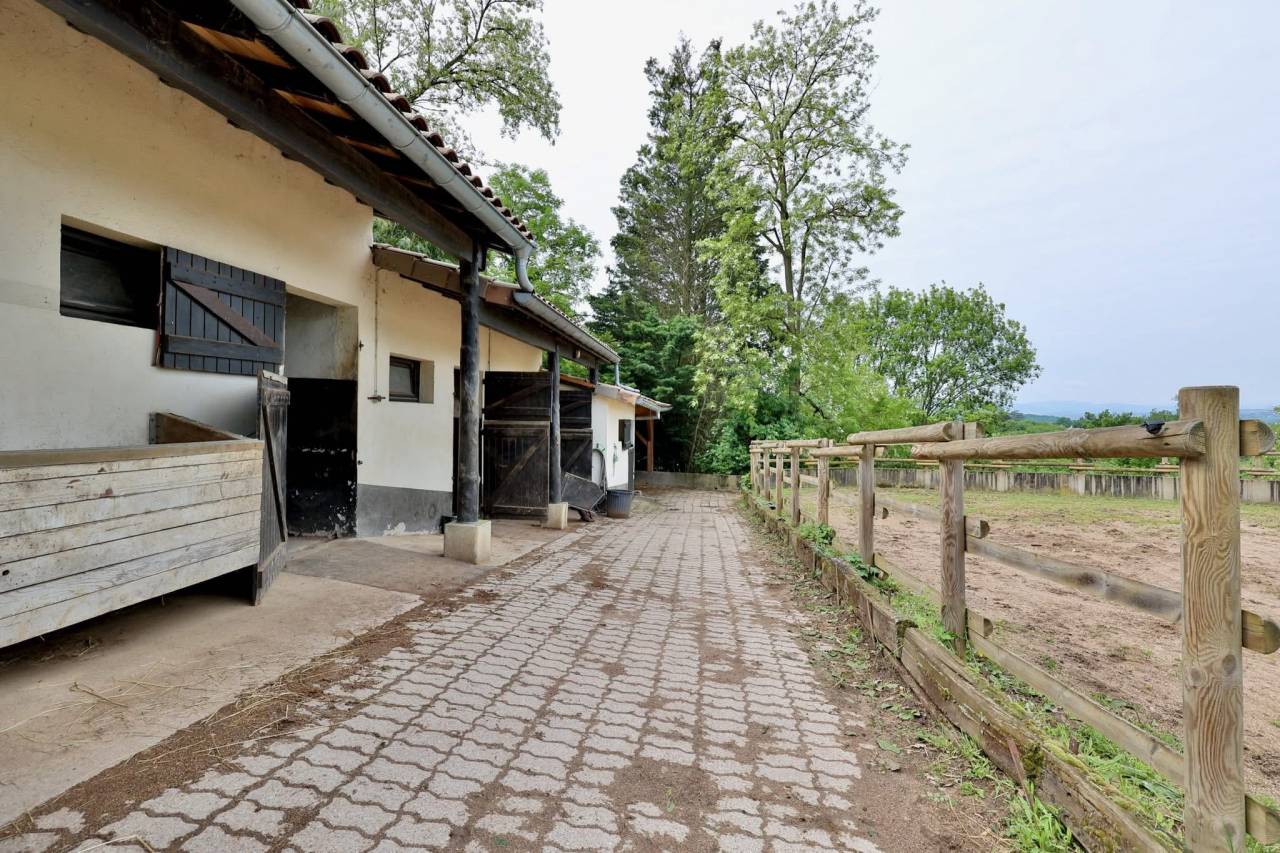 Equestrian property  Rhône
