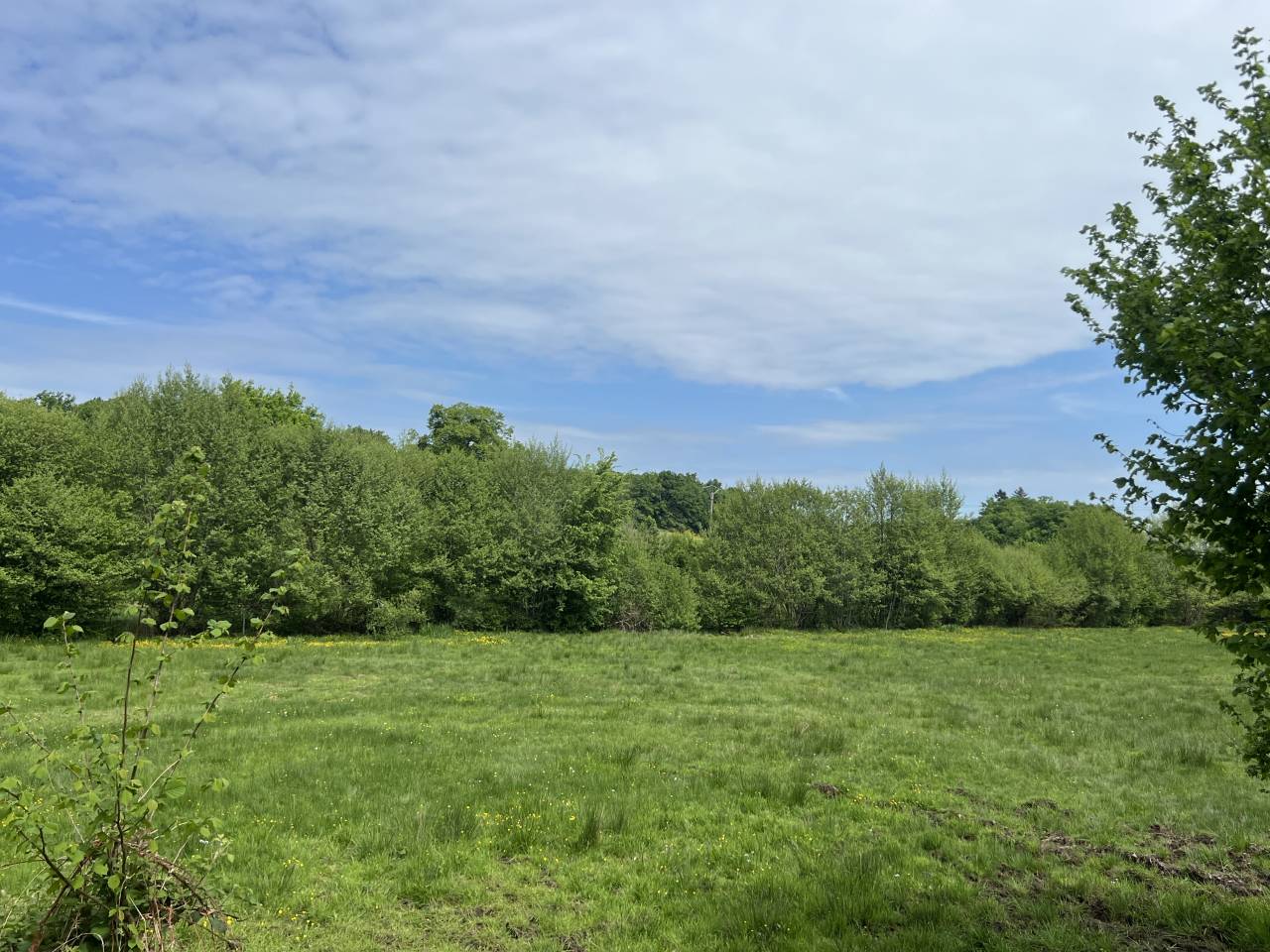 Country house  Creuse