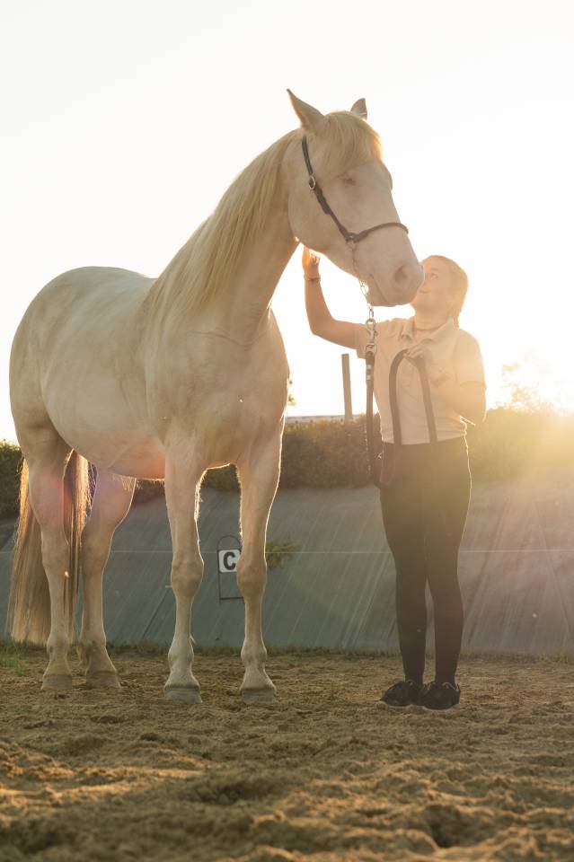 Mare Creme For sale 2021 Cream