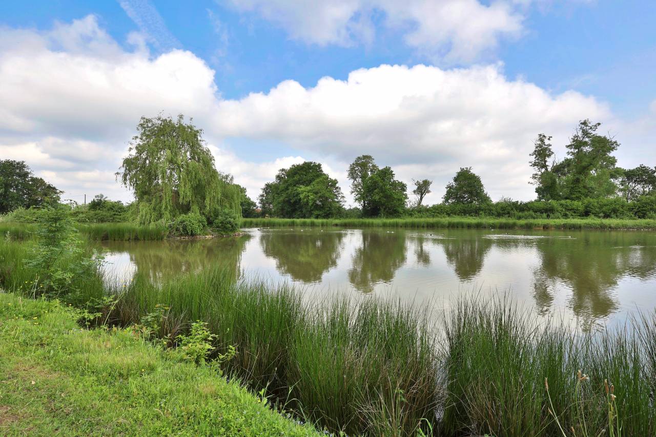 Luxurious equestrian property  Ain