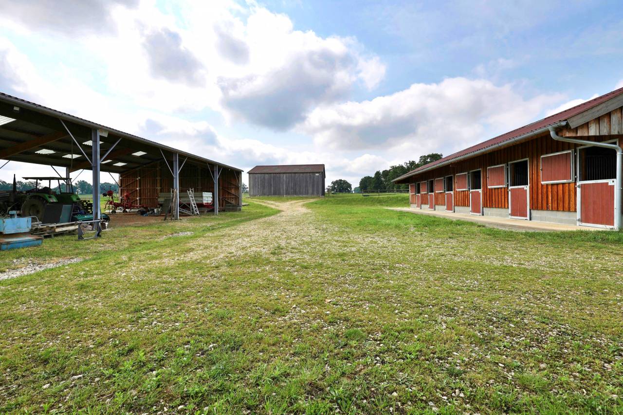 Luxurious equestrian property  Ain
