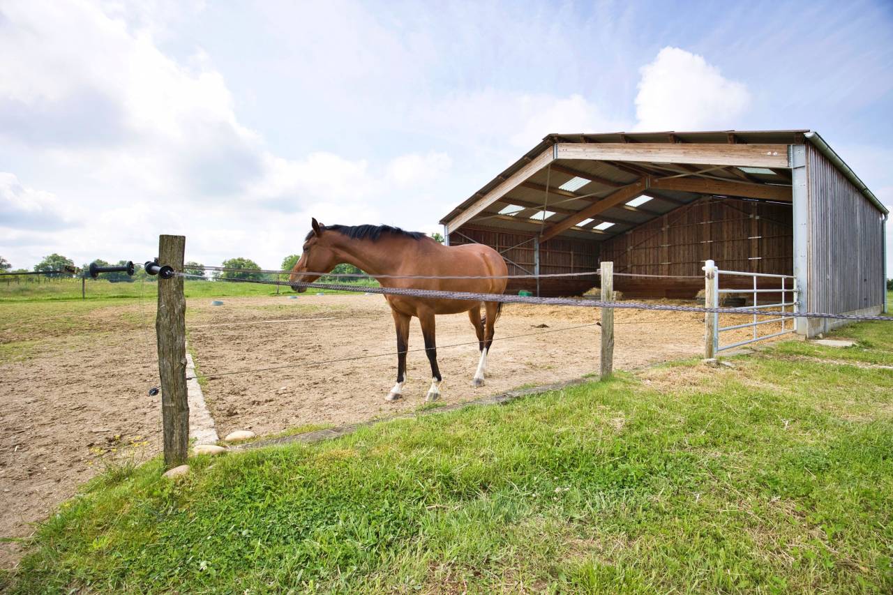 Luxurious equestrian property  Ain