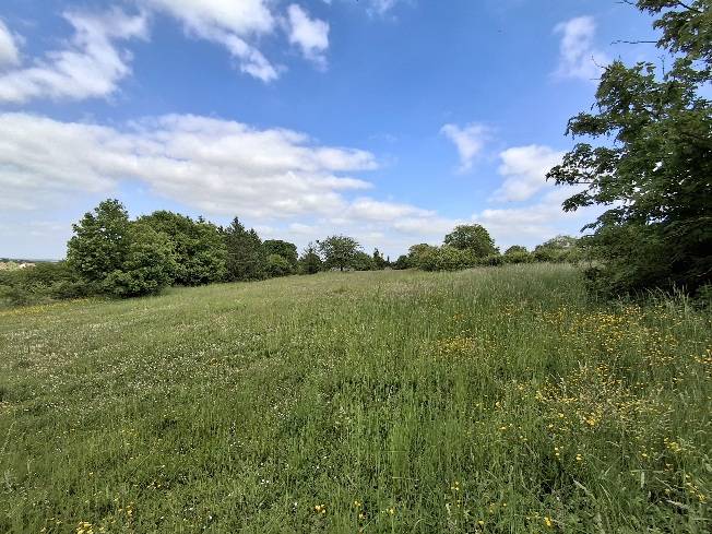 Equestrian property  Yonne