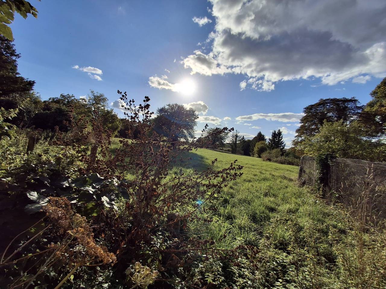 Equestrian property  Yonne