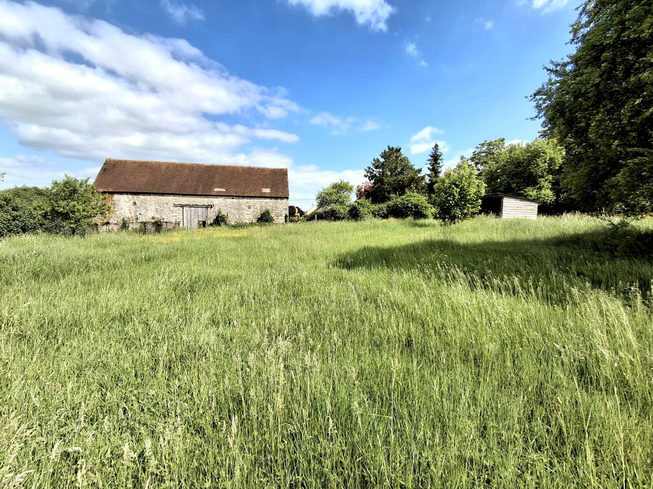 Equestrian property  Yonne