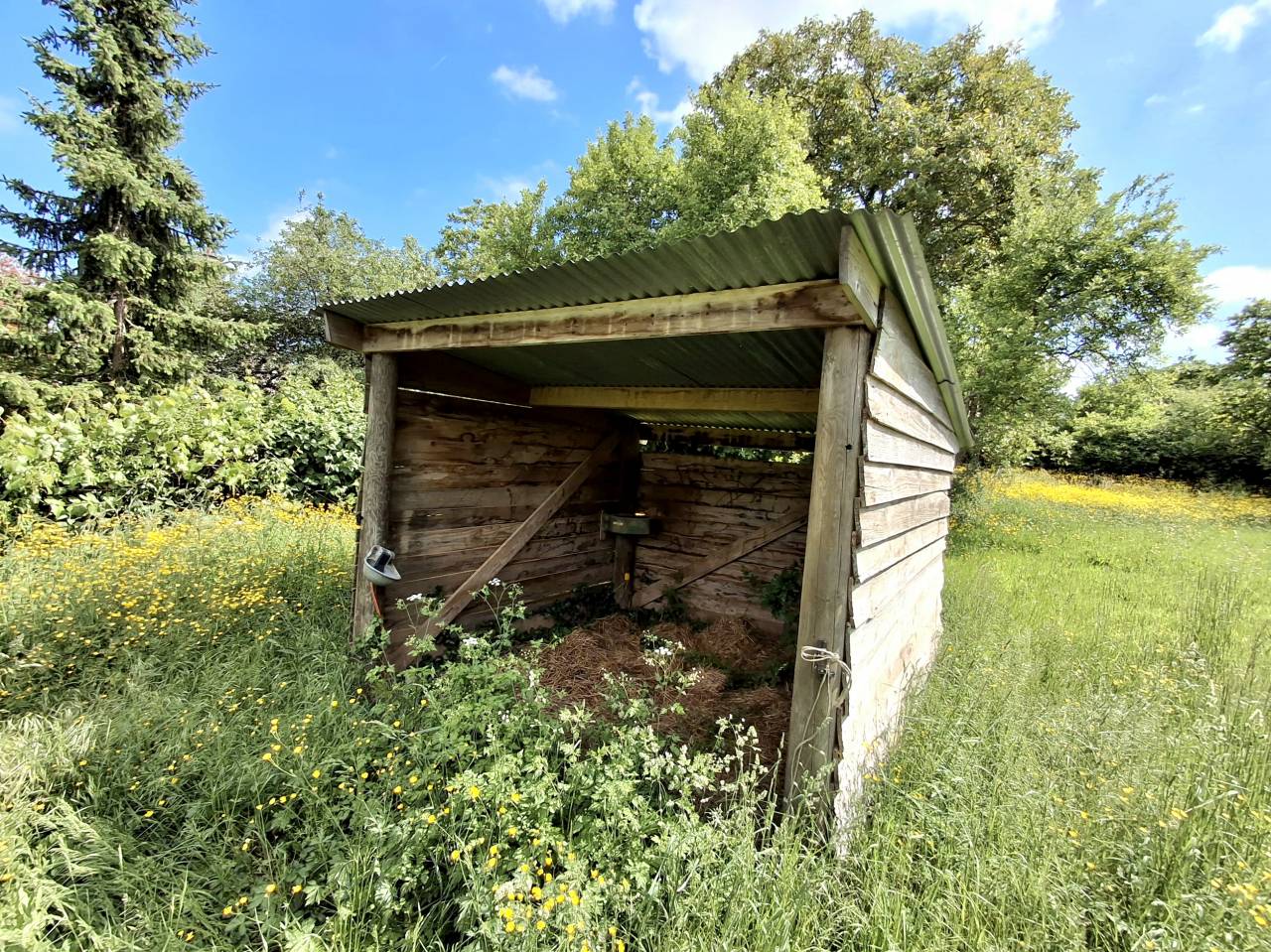 Equestrian property  Yonne