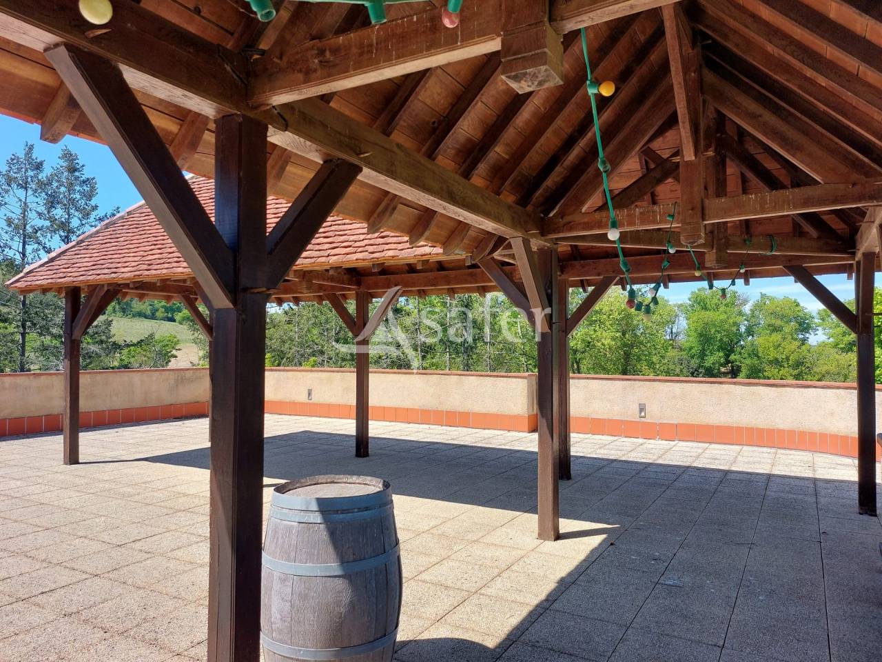 Vineyard  Pyrénées-Atlantiques