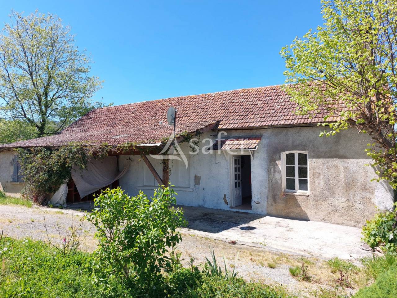 Vineyard  Pyrénées-Atlantiques
