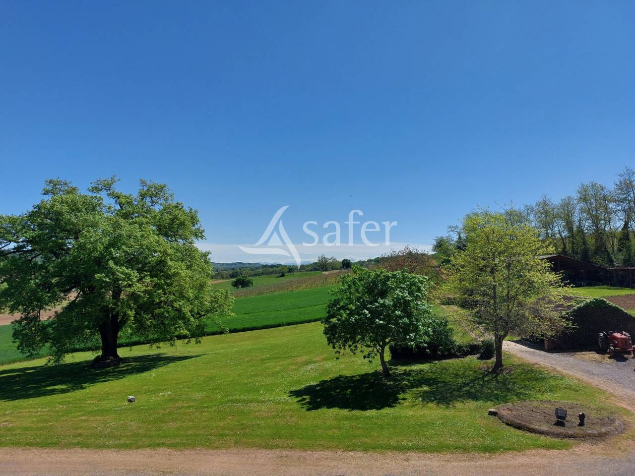 Vineyard  Pyrénées-Atlantiques