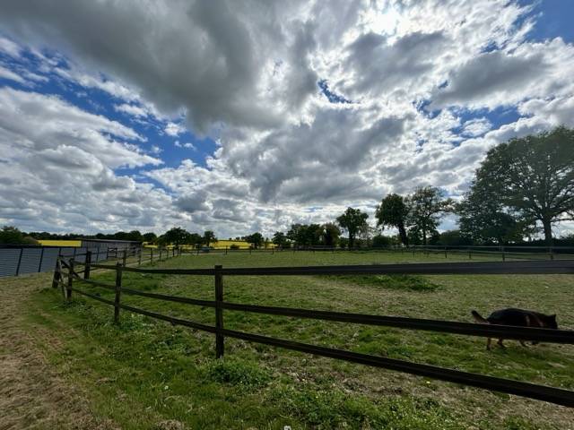 Racing yard  Mayenne
