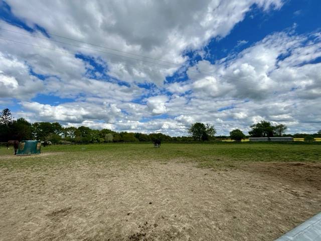 Racing yard  Mayenne