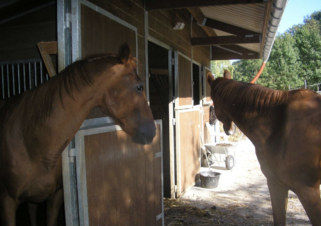 Equestrian property  Isère