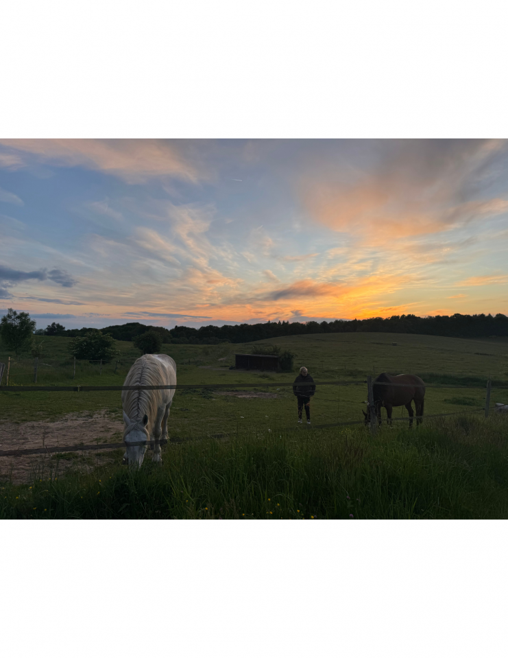 Luxurious equestrian property  Haute-Vienne