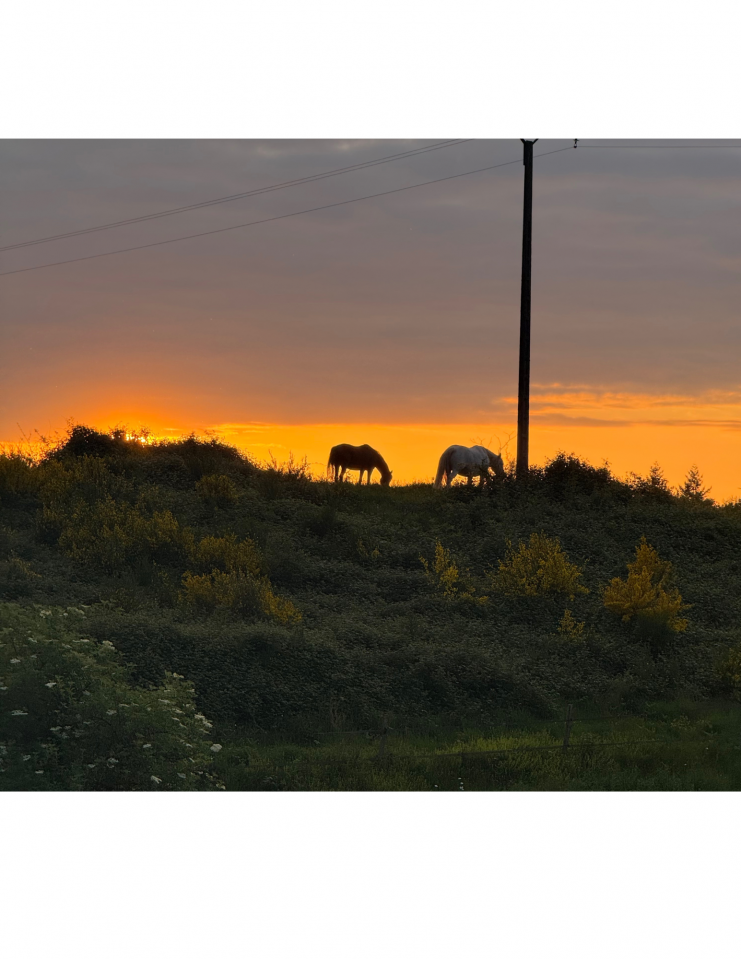 Luxurious equestrian property  Haute-Vienne
