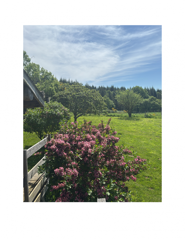 Luxurious equestrian property  Haute-Vienne