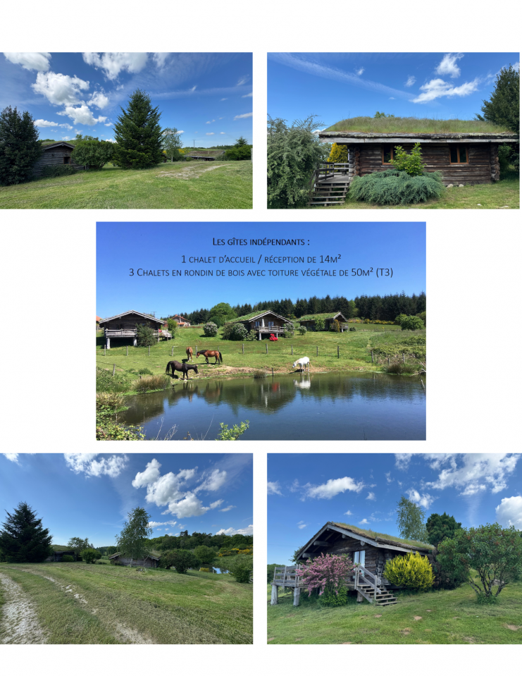 Luxurious equestrian property  Haute-Vienne