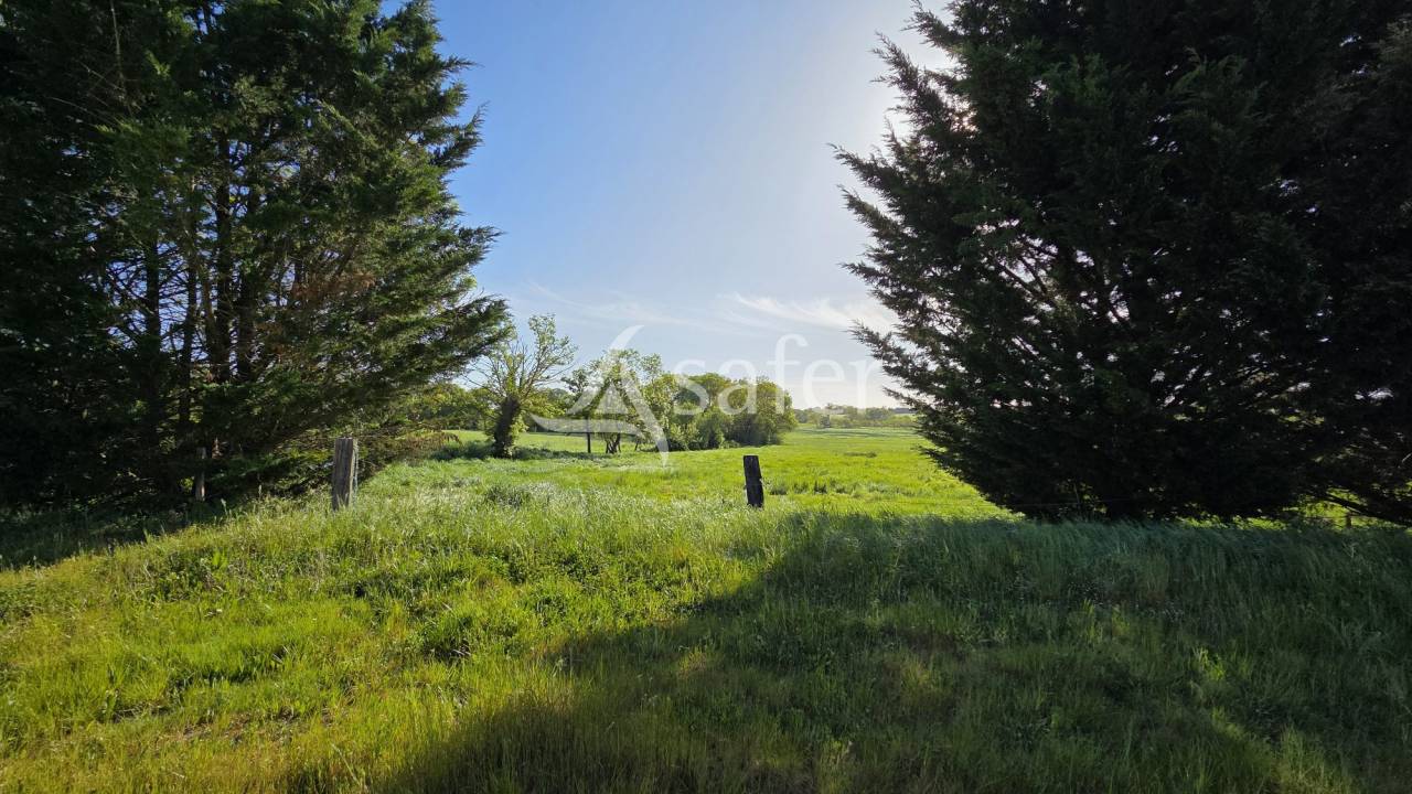 Other country property  Loire-Atlantique