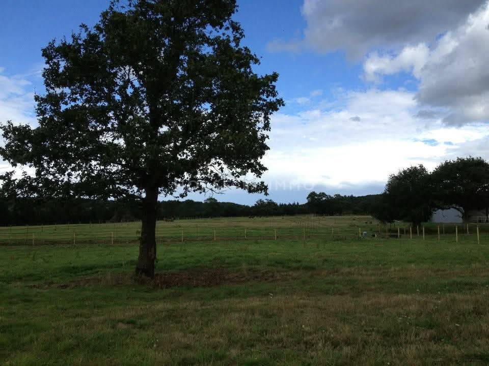 Equestrian property  Ile-et-Vilaine