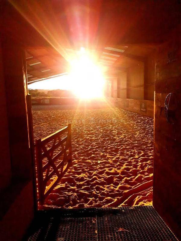 Equestrian property  Ile-et-Vilaine