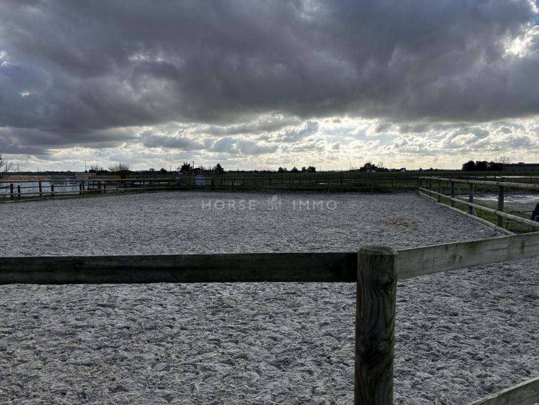 Equestrian property  Vendée