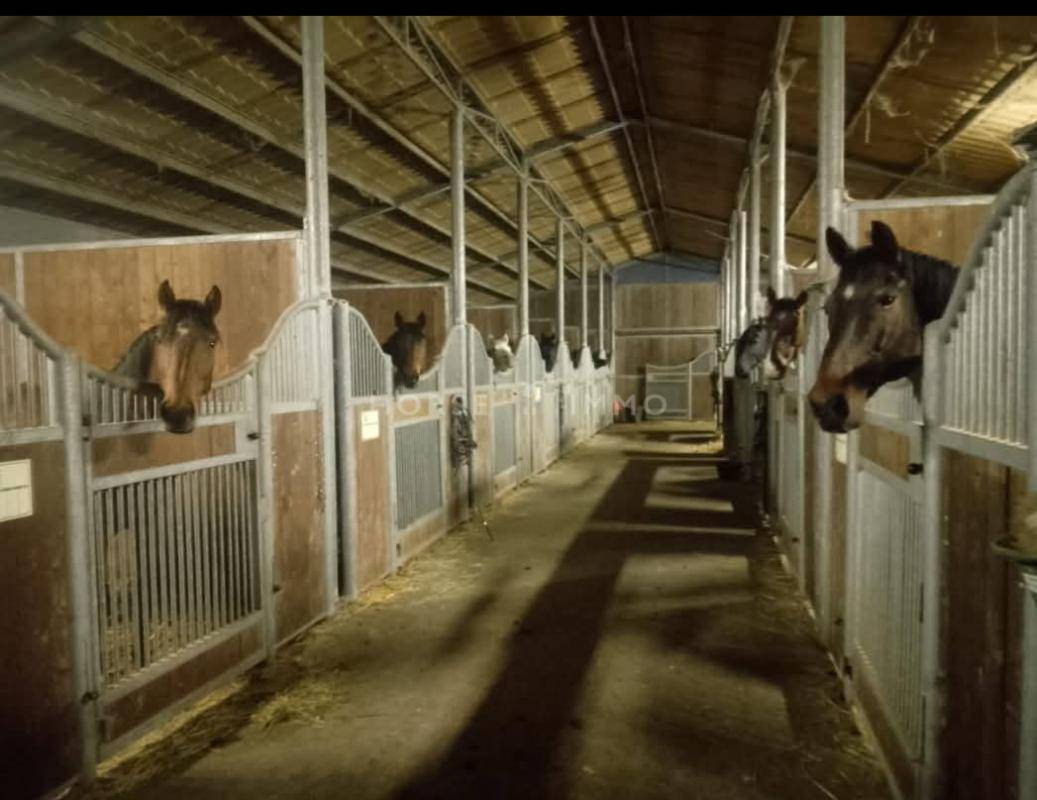 Equestrian property  Vend&eacute;e
