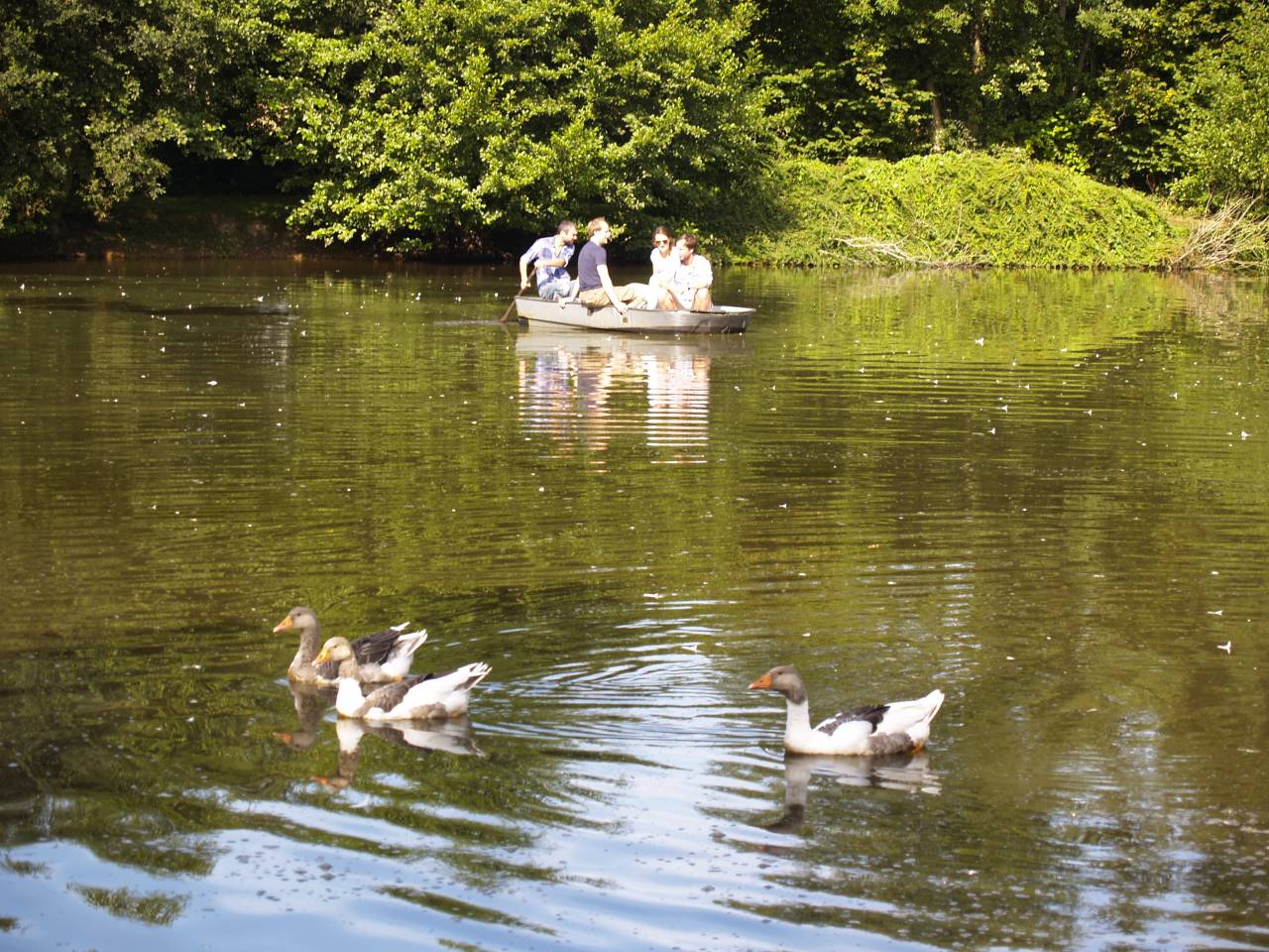 Holiday equestrian property  Calvados