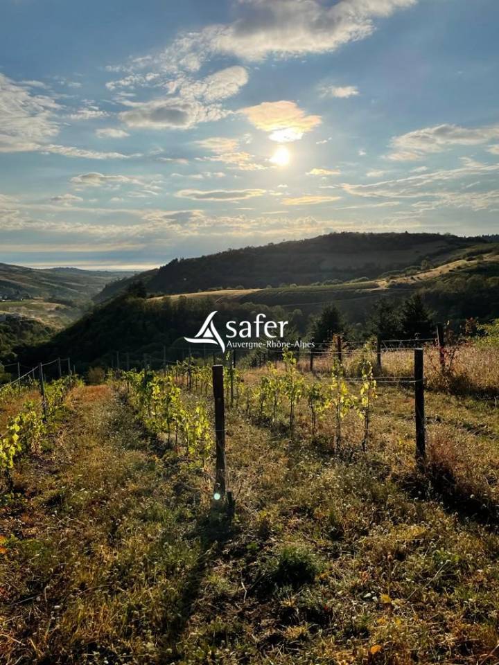 Other country property  Rhône