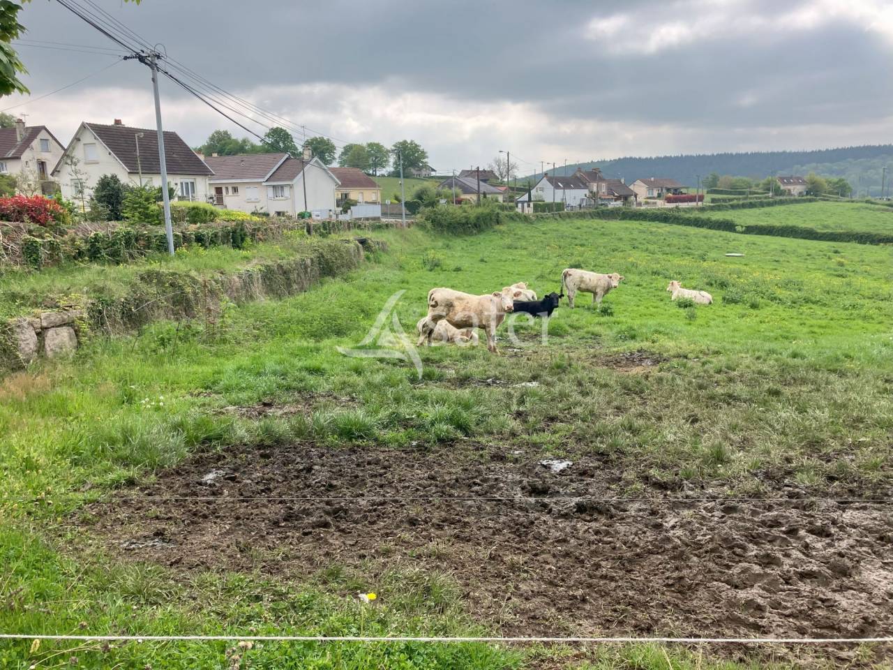 Vegetable farm  Saône-et-Loire