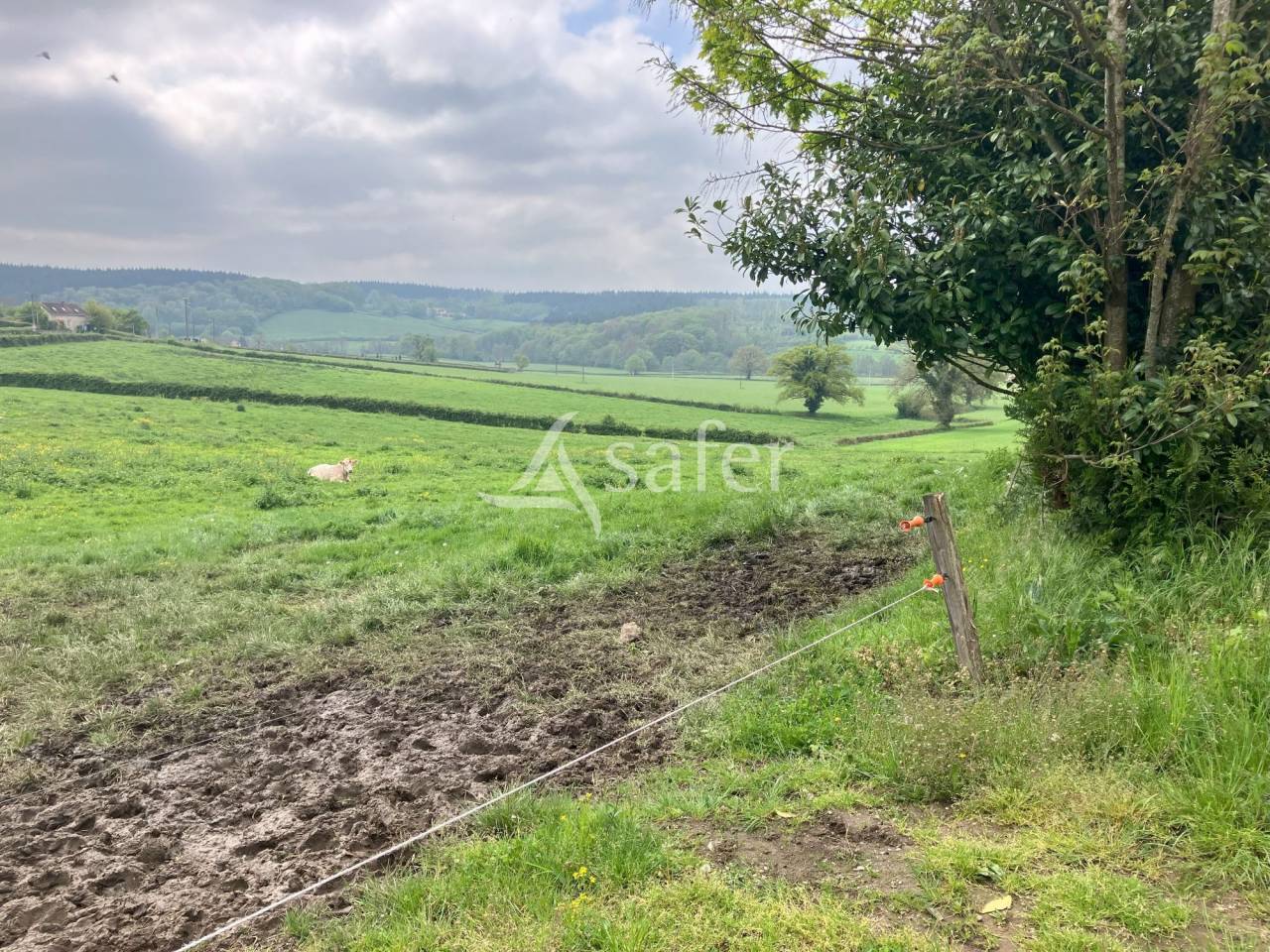 Vegetable farm  Saône-et-Loire