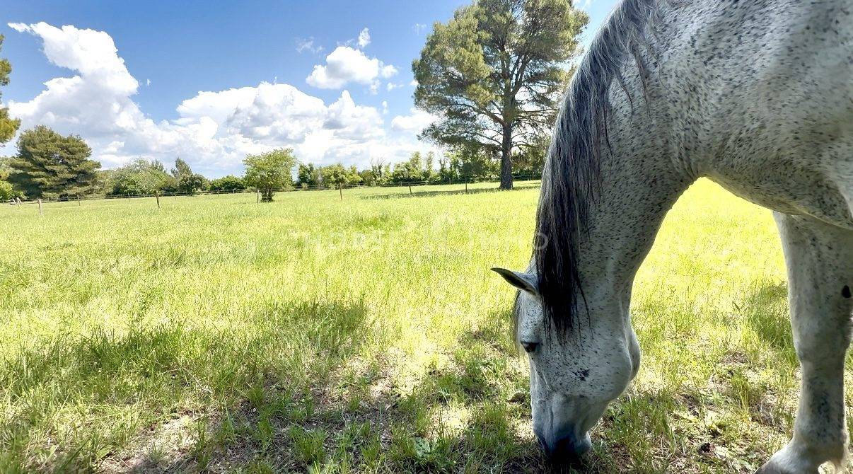 Equestrian property  Bouches-du-Rhône