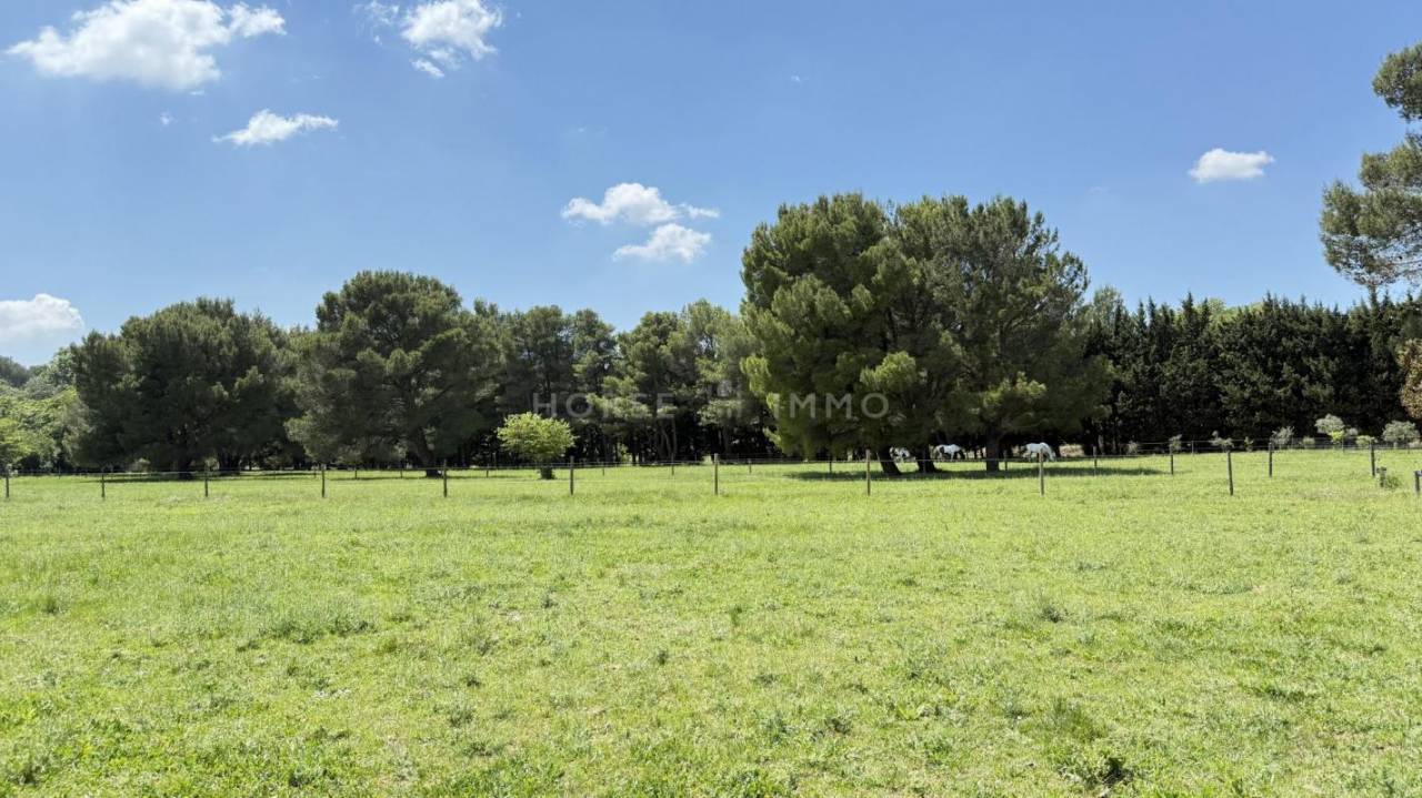Equestrian property  Bouches-du-Rhône