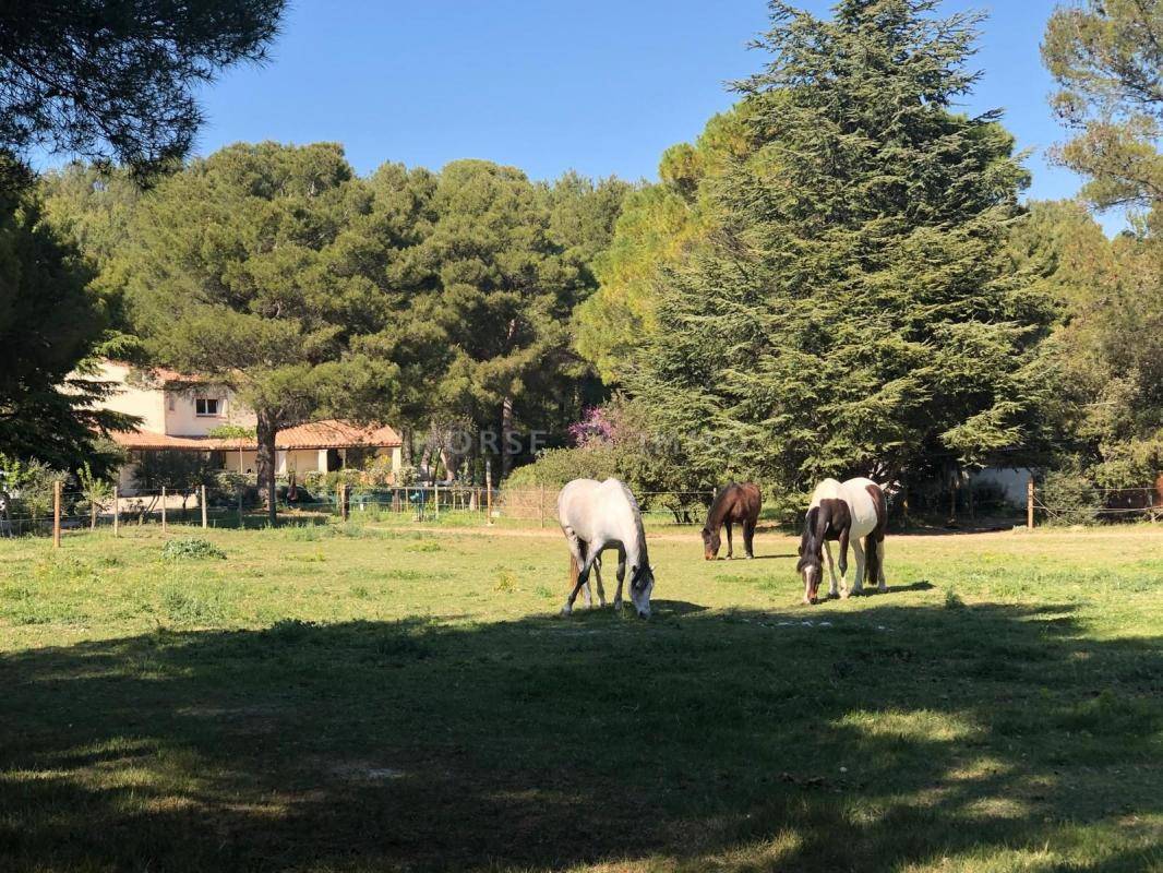 Equestrian property  Bouches-du-Rhône