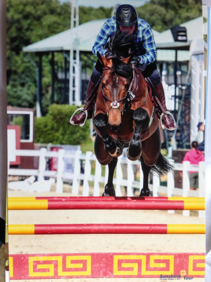 The Sport Horse Centre - Success Breeds Success