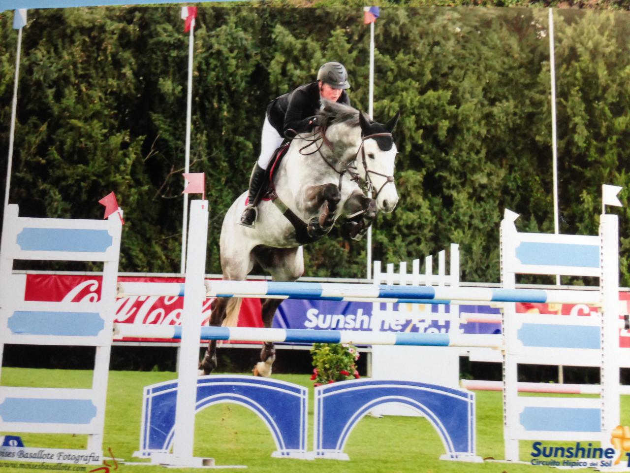 The Sport Horse Centre - Success Breeds Success