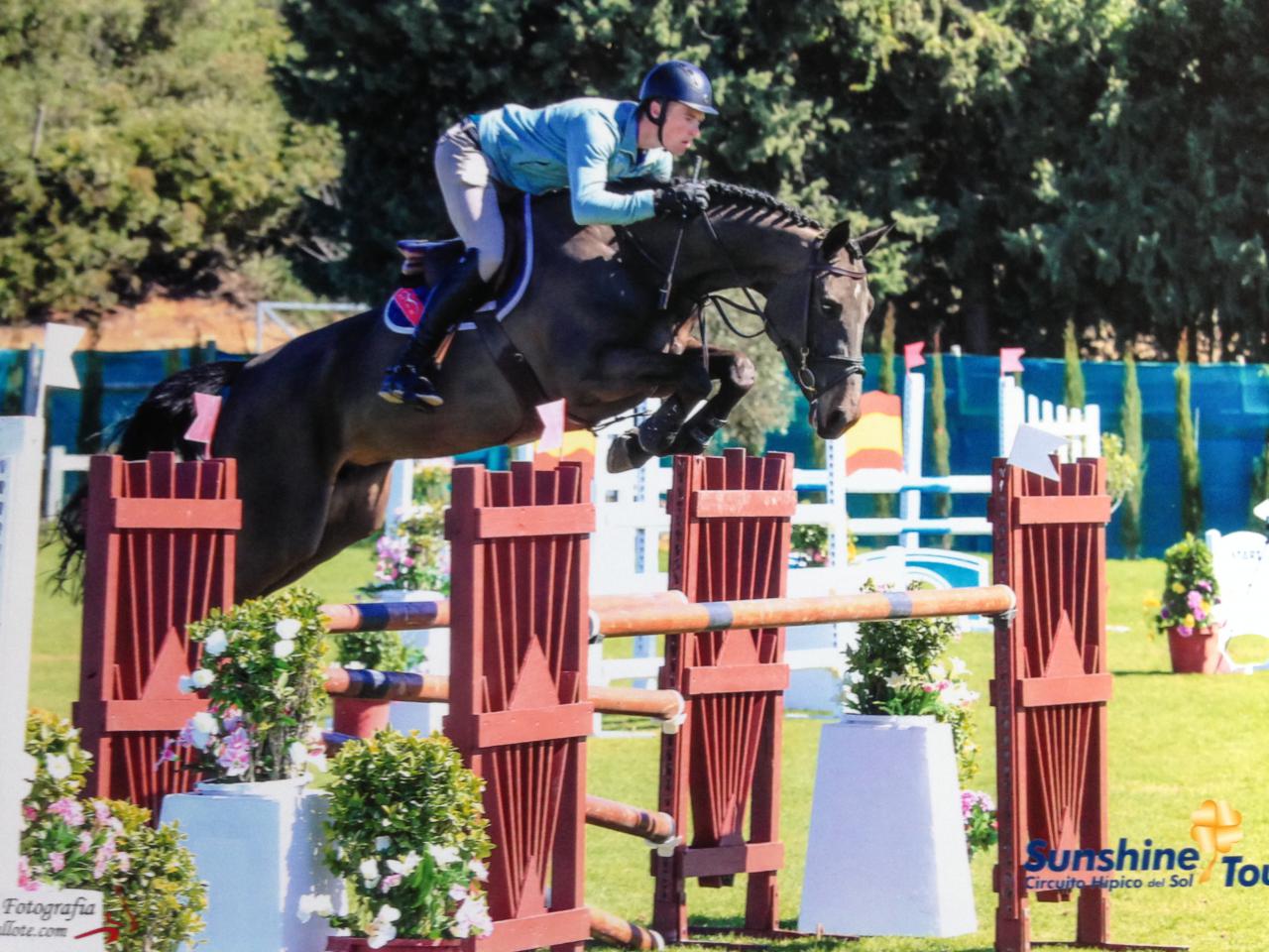 The Sport Horse Centre - Success Breeds Success