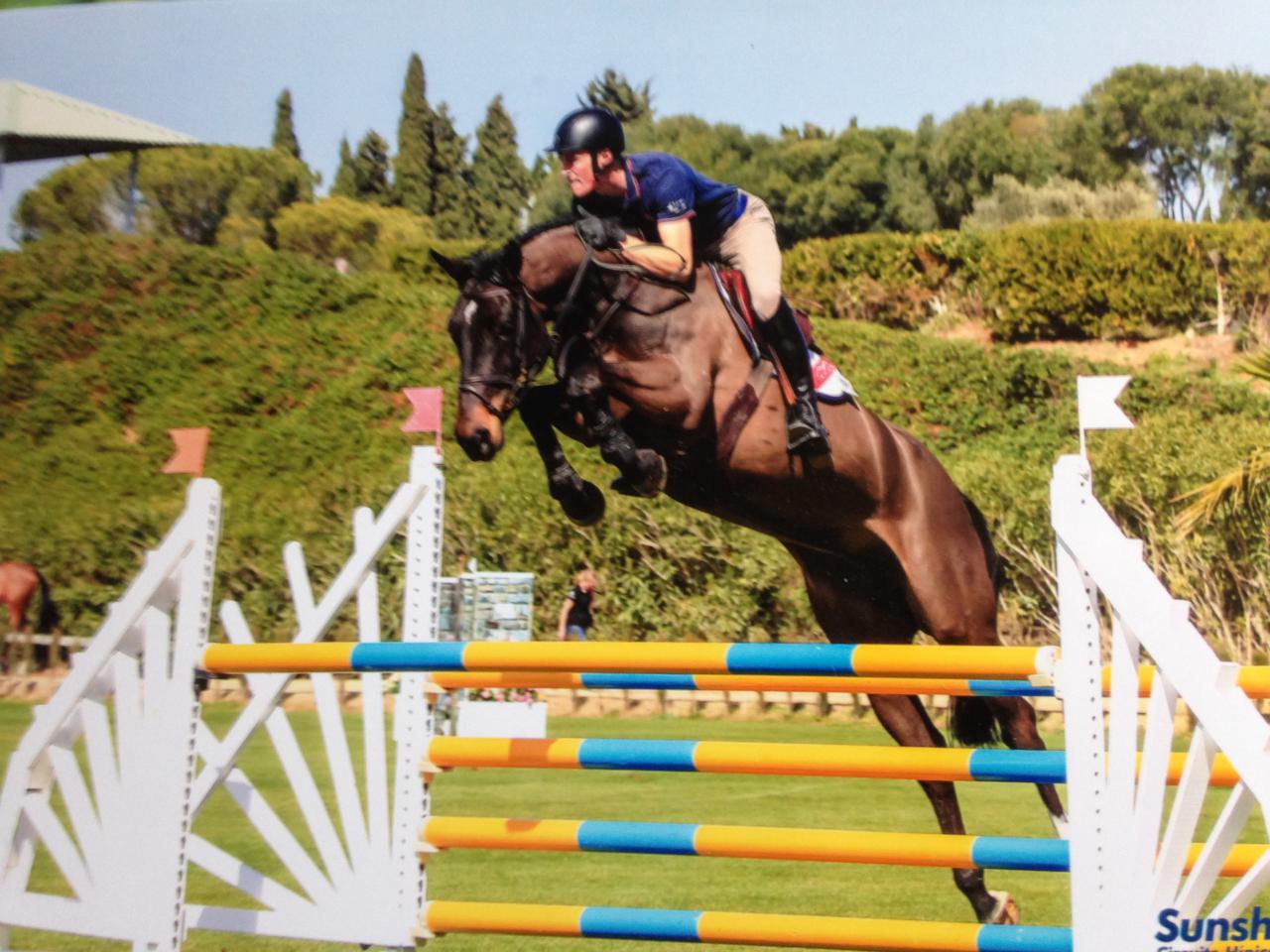 The Sport Horse Centre - Success Breeds Success