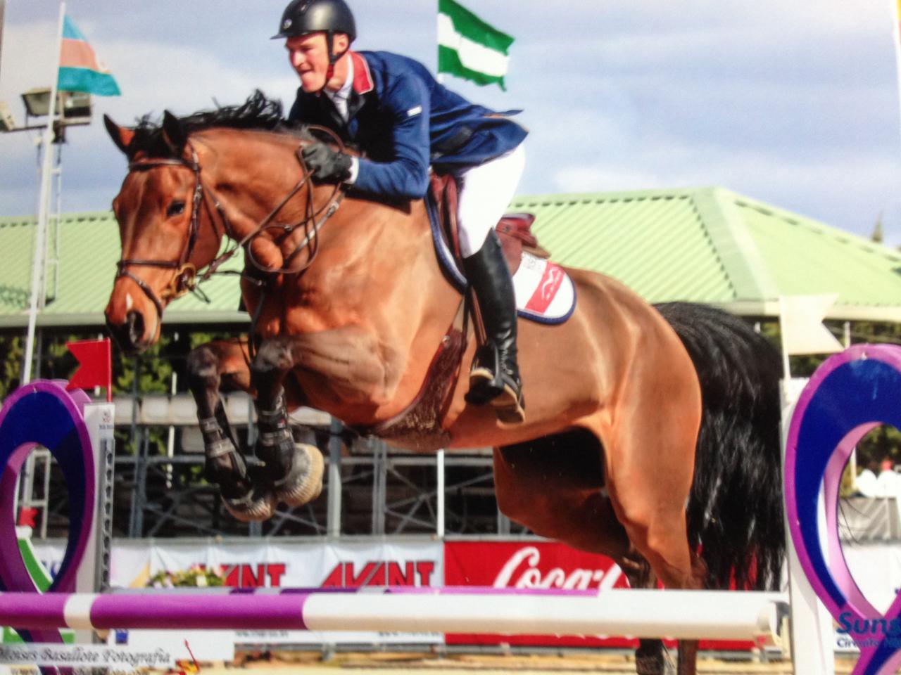 The Sport Horse Centre - Success Breeds Success