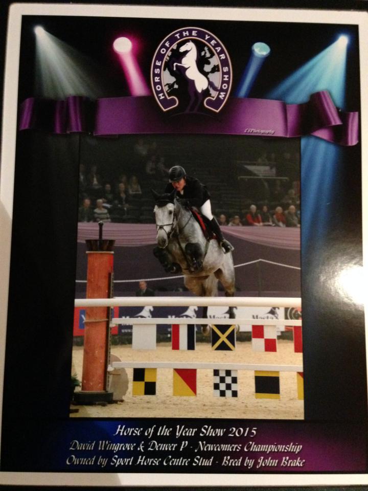 The Sport Horse Centre - Success Breeds Success