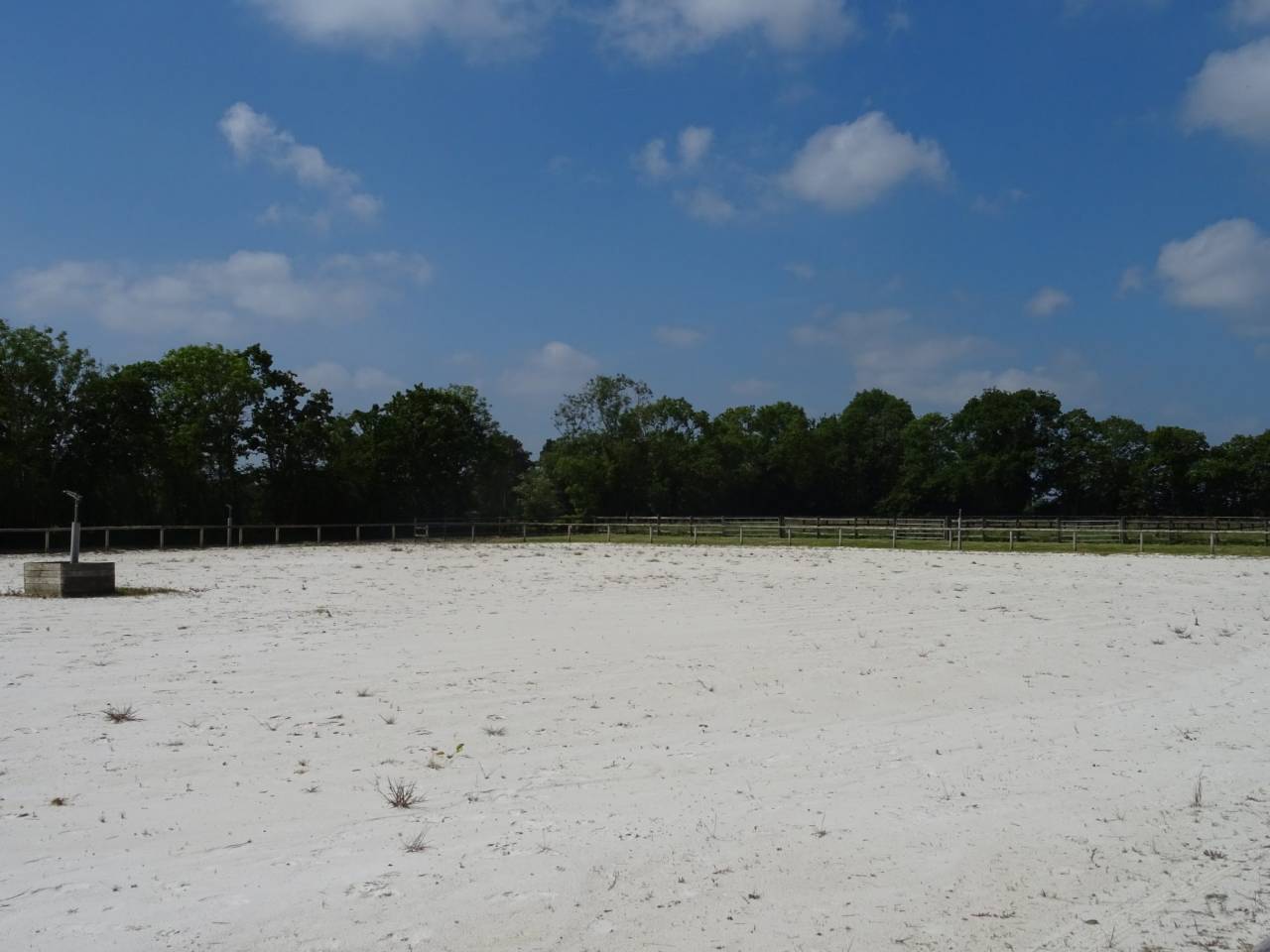 Equestrian property  Calvados