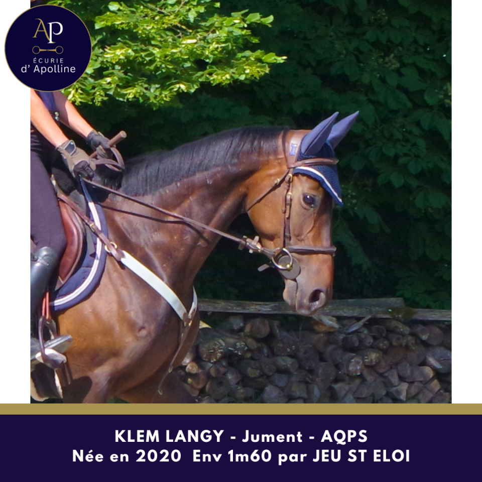 Mare AQPS For sale 2020 Bay