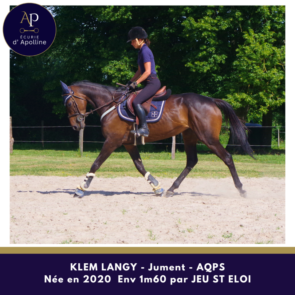 Mare AQPS For sale 2020 Bay