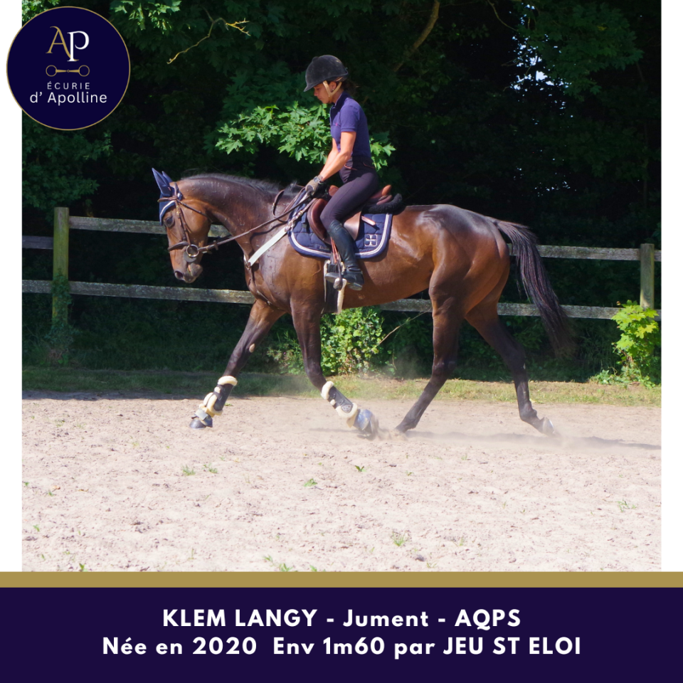 Mare AQPS For sale 2020 Bay