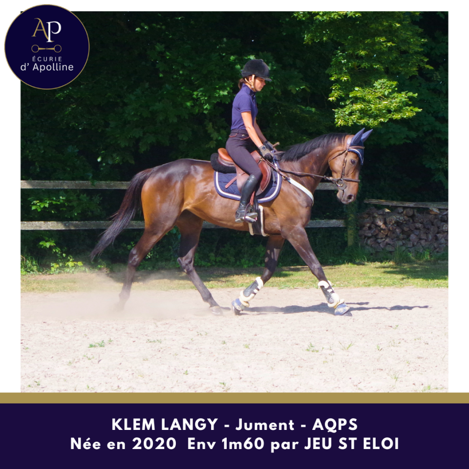 Mare AQPS For sale 2020 Bay