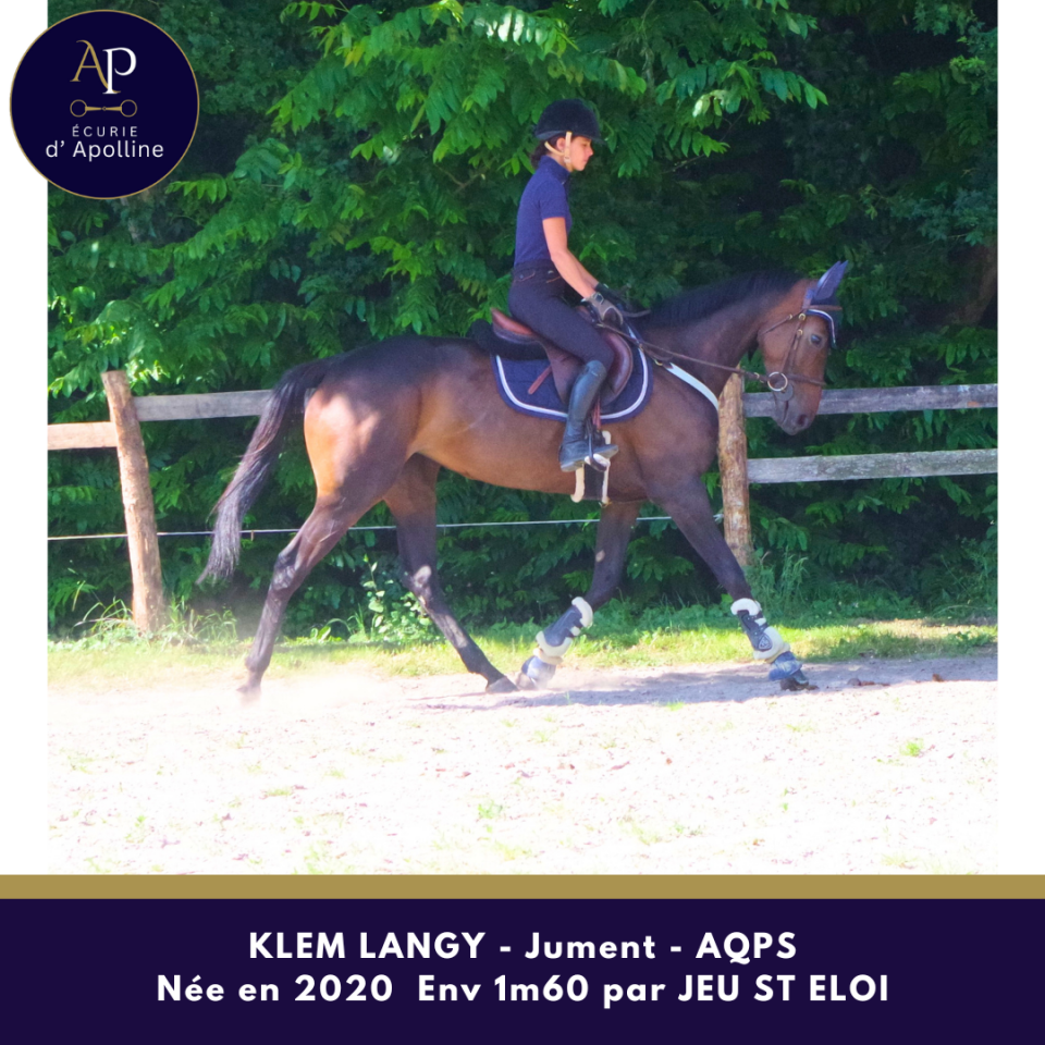 Mare AQPS For sale 2020 Bay