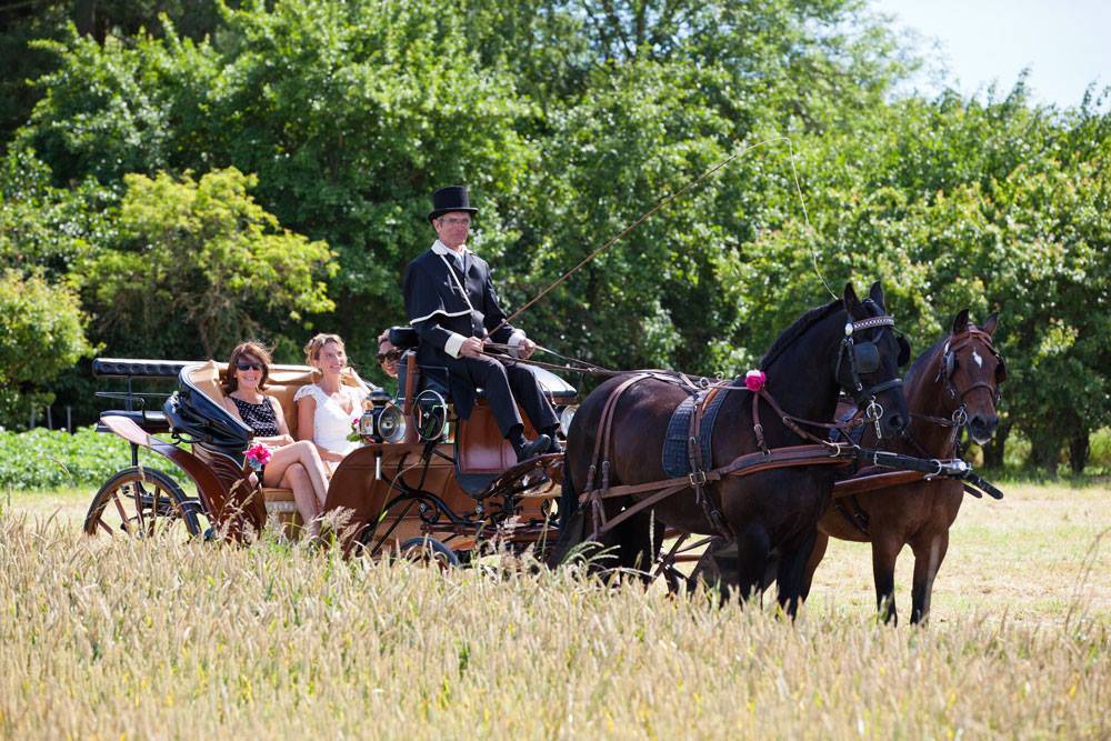 Carriage - Victoria - Other brand - Victoria 